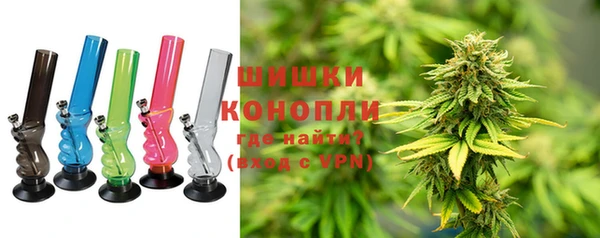 амф Бородино