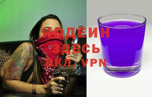 амф Бородино