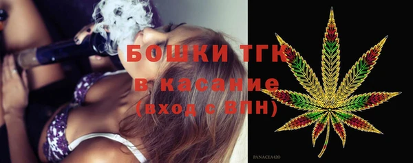 амф Бородино