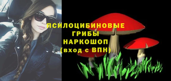 мдпв Бронницы
