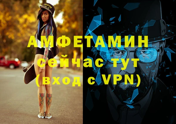 амф Бородино