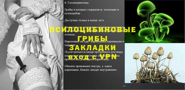 амф Бородино