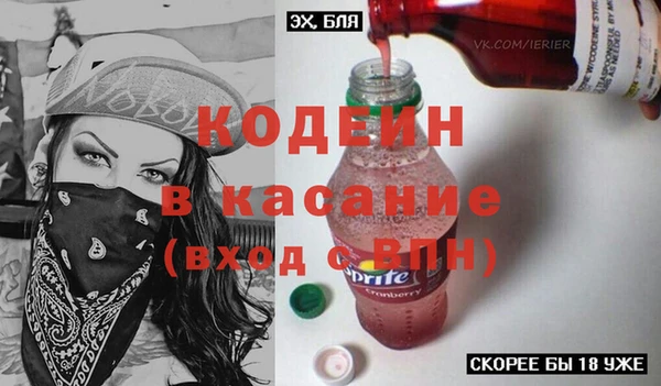 амф Бородино