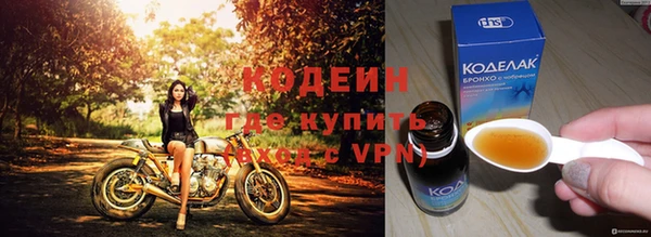 амф Бородино