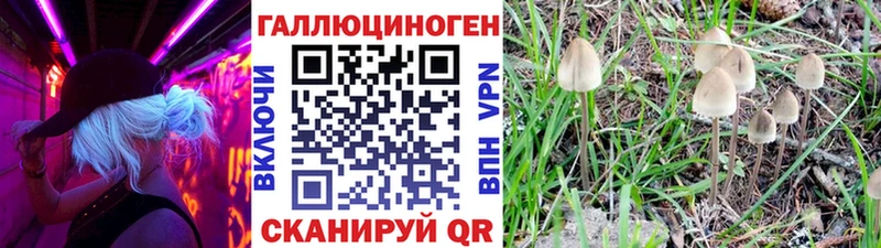Галлюциногенные грибы Psilocybine cubensis  Купить  Выкса 